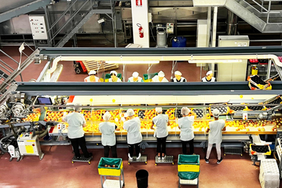 Rivoira workers