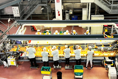 Rivoira workers packing apples