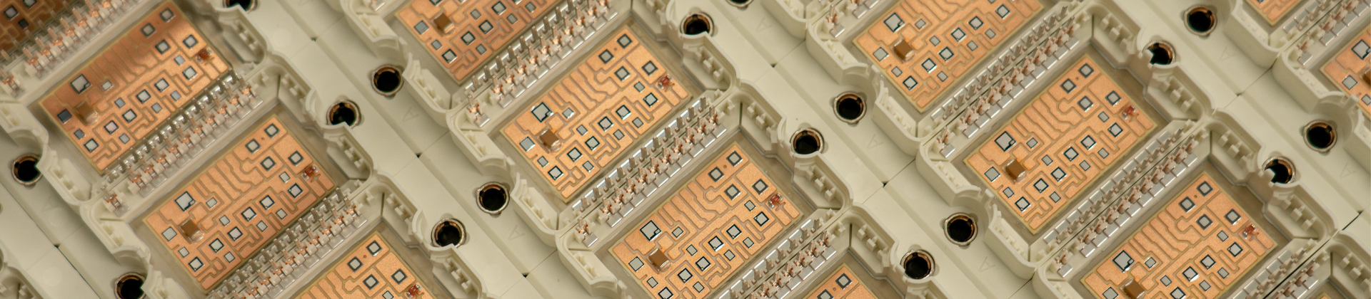 power module