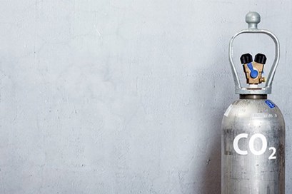 Close up of produce on grocery stores refrigerated shelves