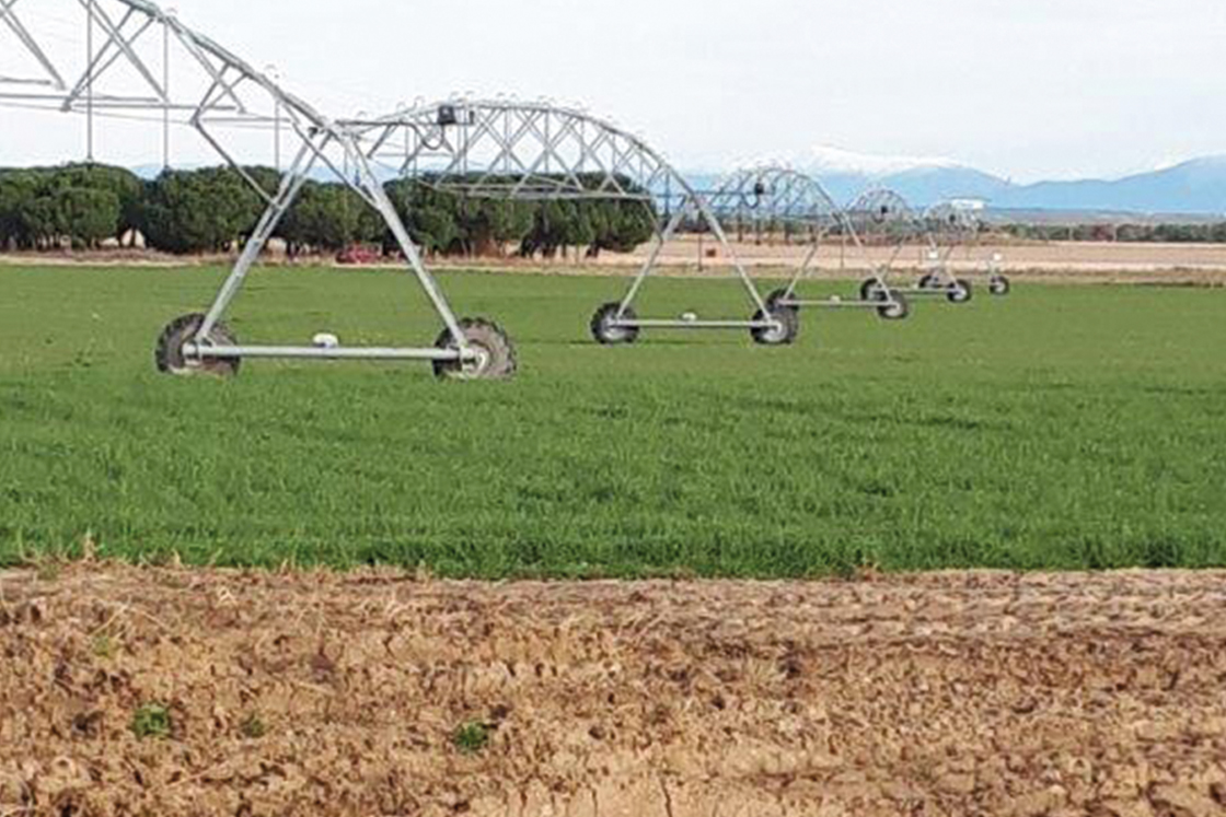 35% increase in yield