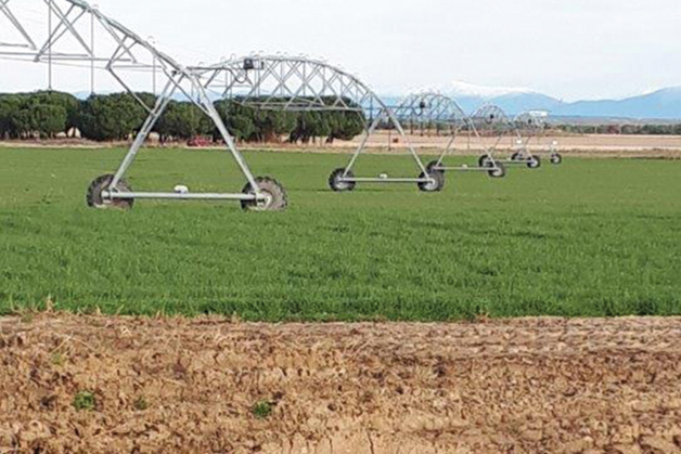 35% increase in yield