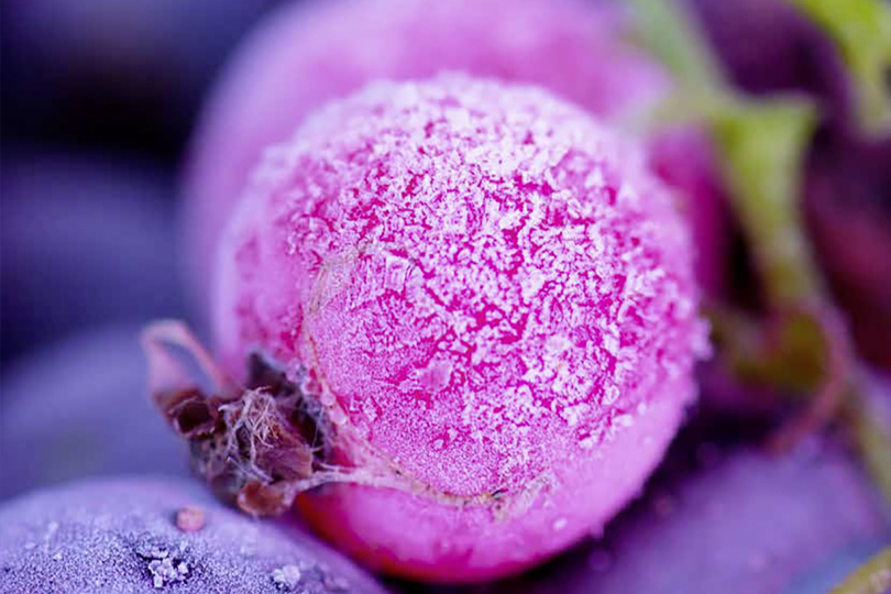 Brochure MLZ/LLZ - Danfoss