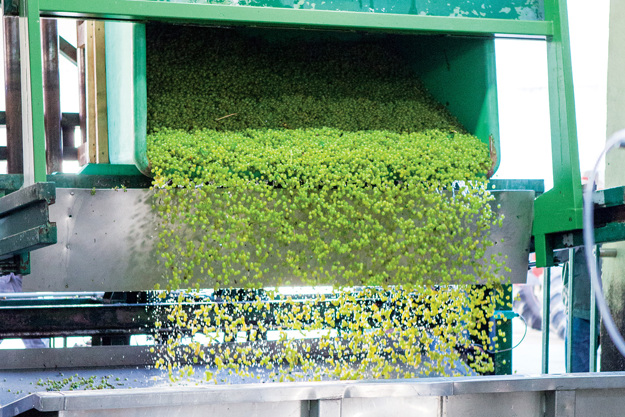 High production throughput for Reicholzheim