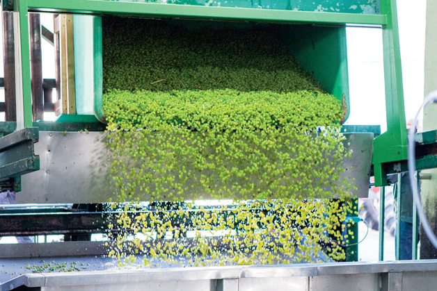 VLT® Midi Drive optimizes speed of rotation when destemming