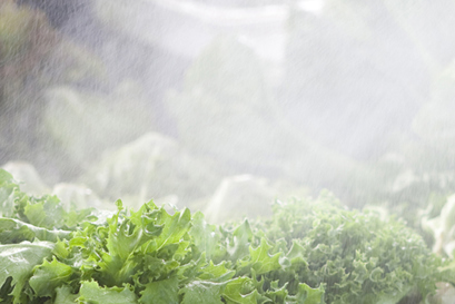 Danfoss' højtrykspumper til befugtning