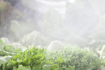 Hochdruckpumpen für die Befeuchtung von Danfoss