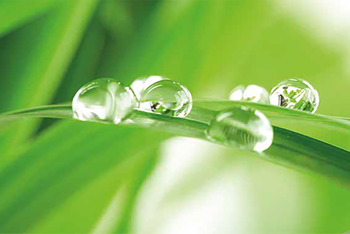 Danfoss Components for Hydrocarbon Refrigeration