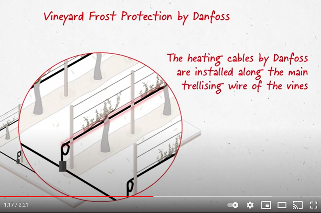 Vineyards Frost Protection by Electric Heating
