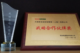 Strategic Partner Supplier Award