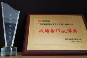 Strategic Partner Supplier Award