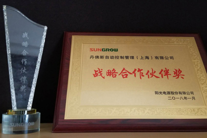 Strategic Partner Supplier Award