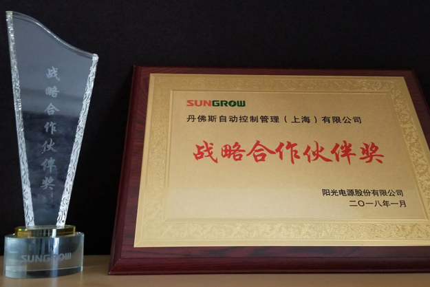 Strategic Partner Supplier Award