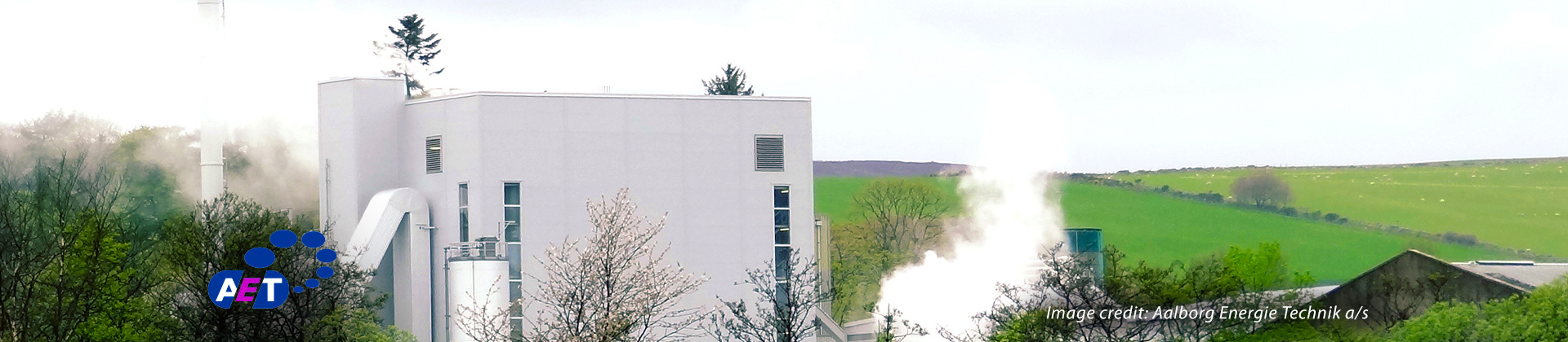 Rothes CoRDe plant