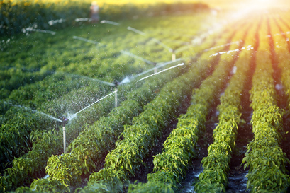 Energy efficient irrigation system in a field