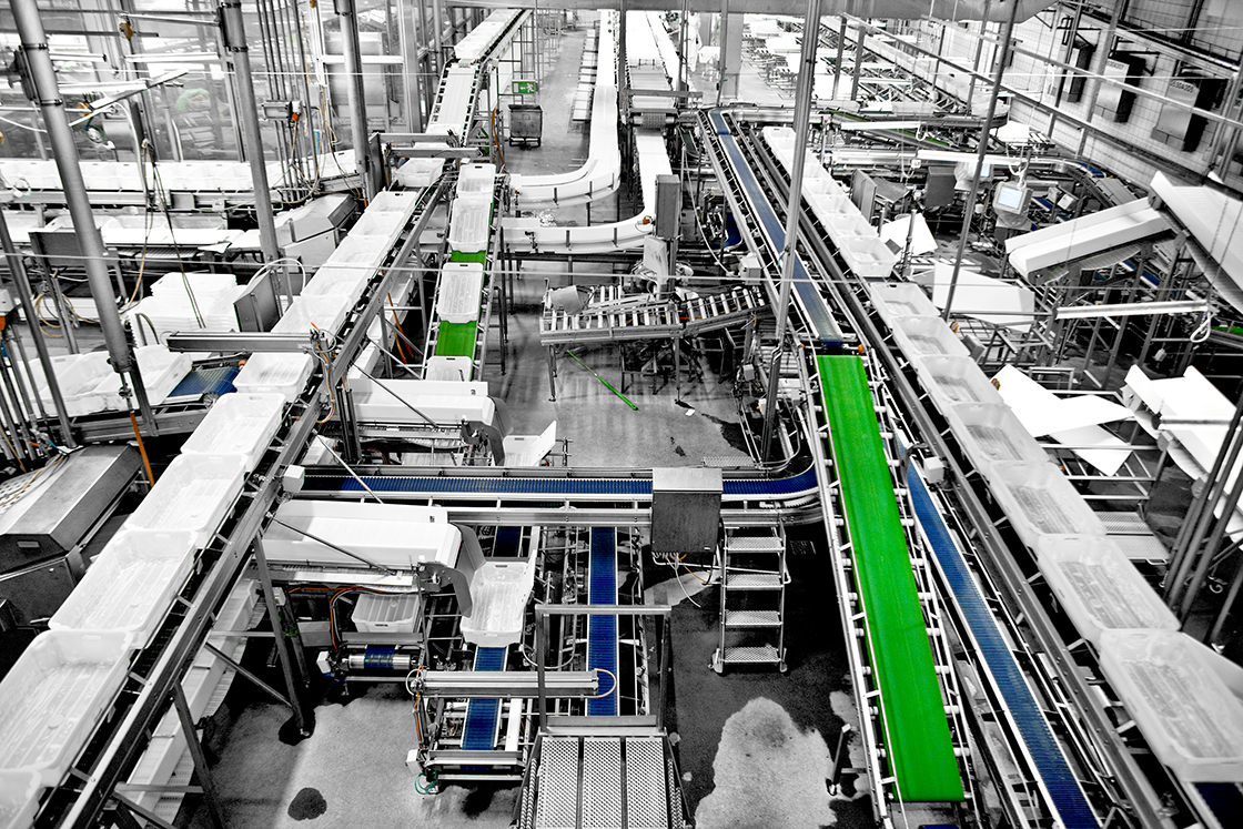 Danish Crown super slaughterhouse saves 30 tEUR annually on motor replacement