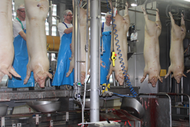 Pålidelighed i fokus hos Danish Crown