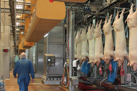 Pålidelighed i fokus hos Danish Crown