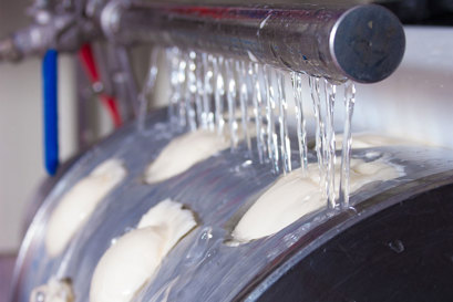 VLT Food Processing Well