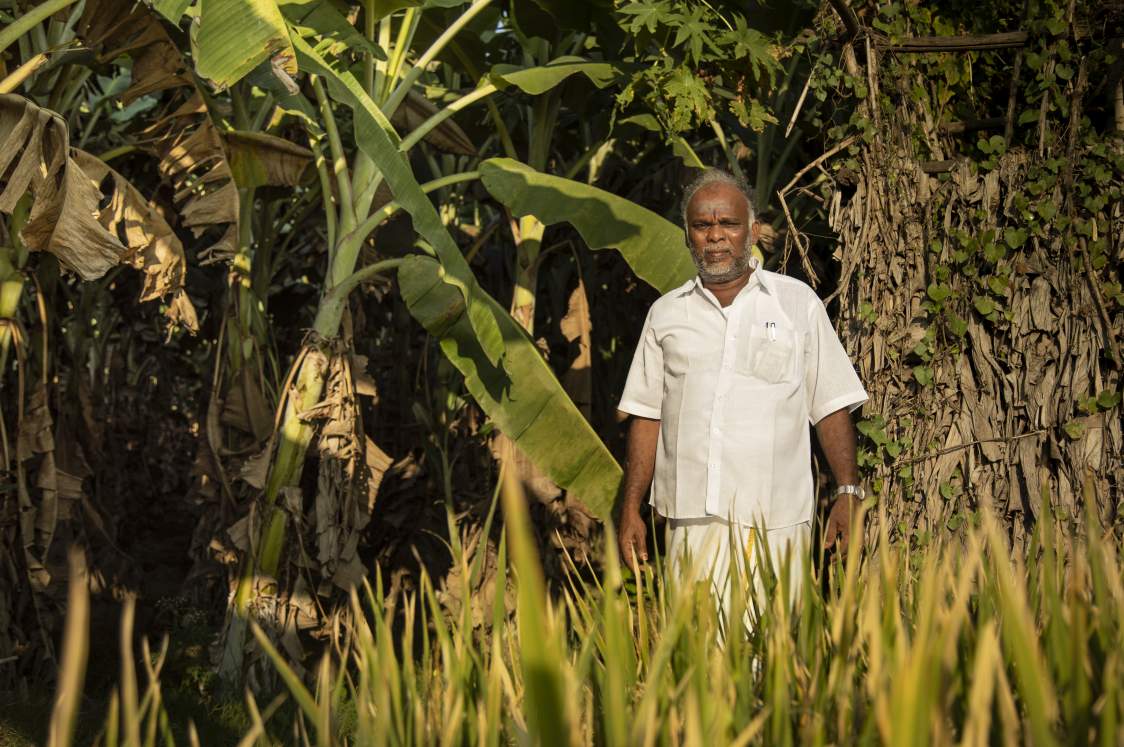 Mr Marudapillai, owner of a small banana farm 