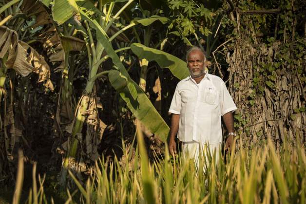 Mr Marudapillai, owner of a small banana farm
