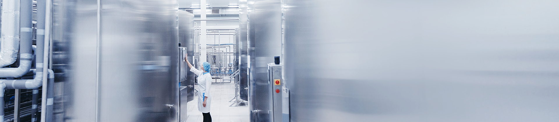 Food processing and cold storage