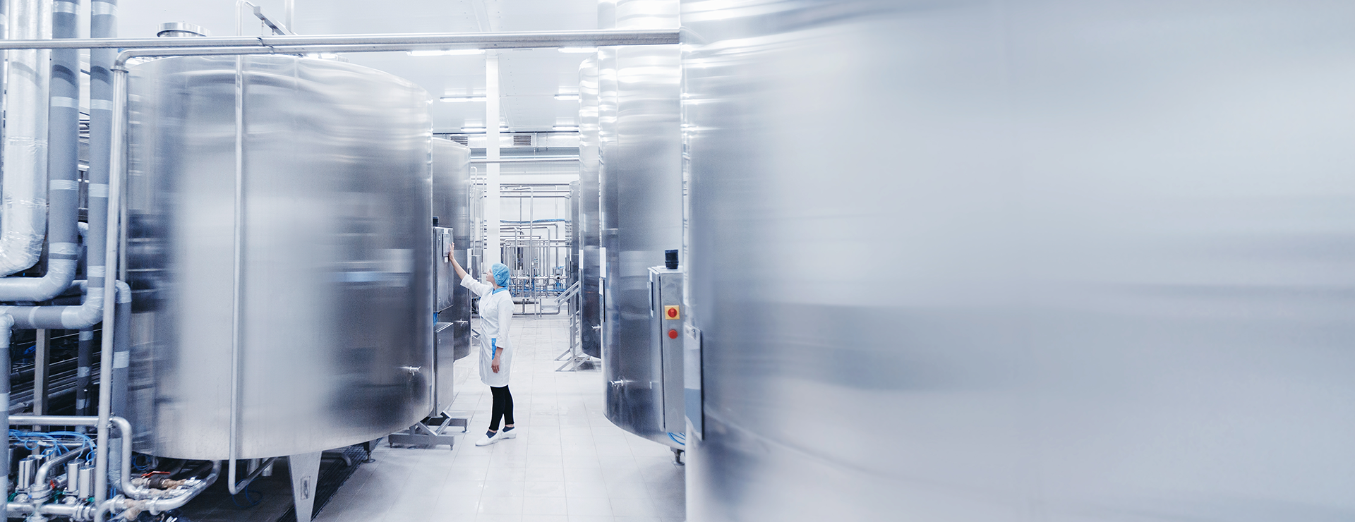 Food processing and cold storage