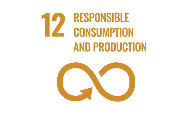 SDG 12 – Responsible consumption and production