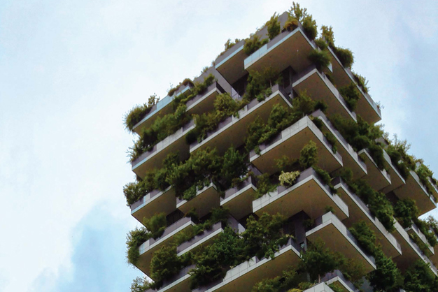 budynek i roślinność