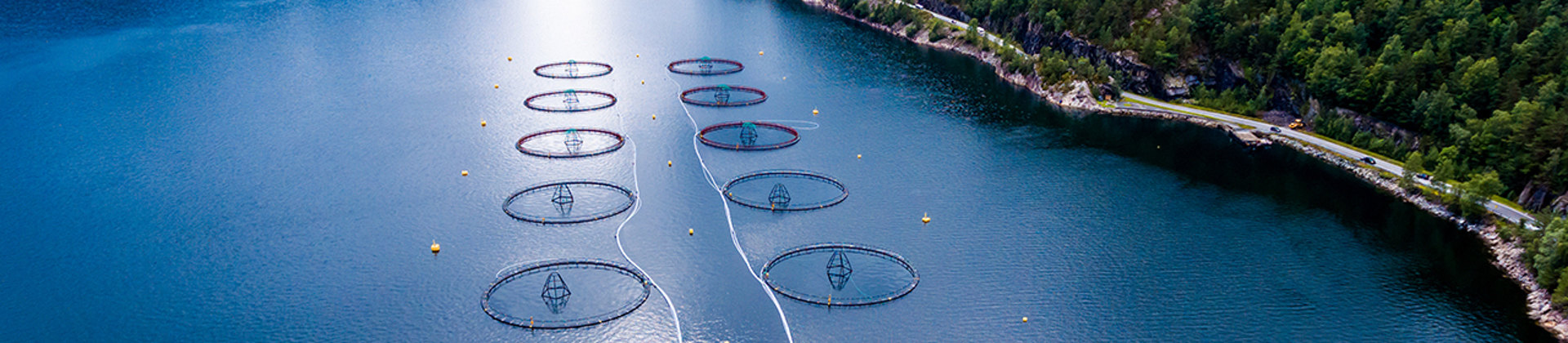Fish farming