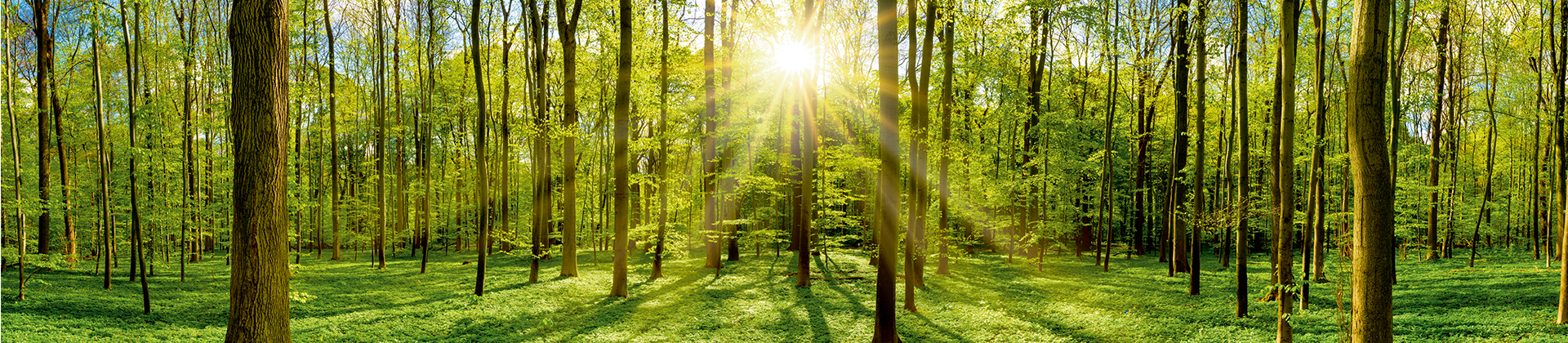 Indumation 2026 | Kortrijk Xpo België | 4-6 Feb | Stand 542 | Danfoss Drives