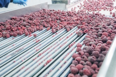 Food Processing and Storage - Danfoss