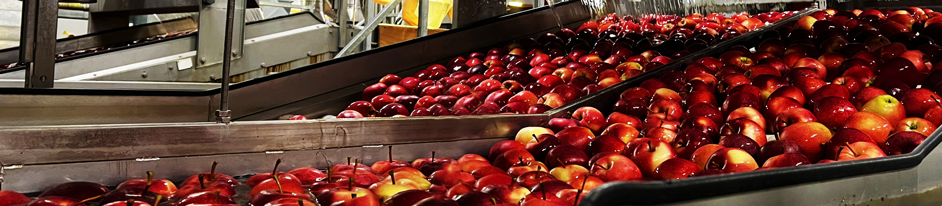 Rivoira workers beside conveyor belt