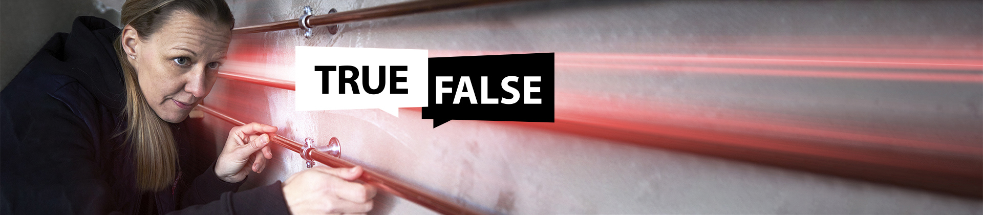Quiz - True False