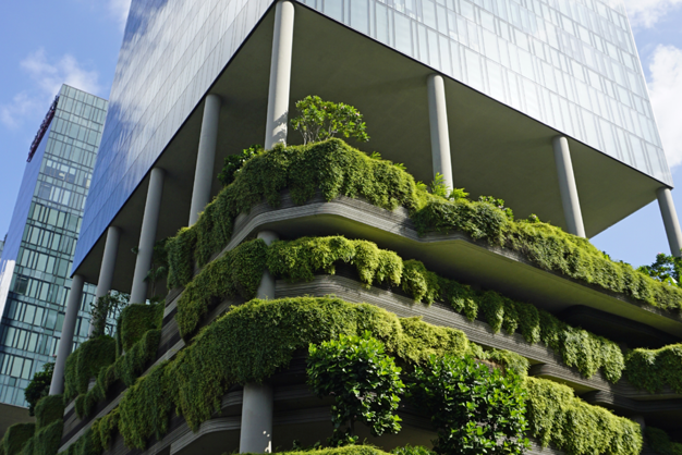 szklany budynek z zielonymi roślinami