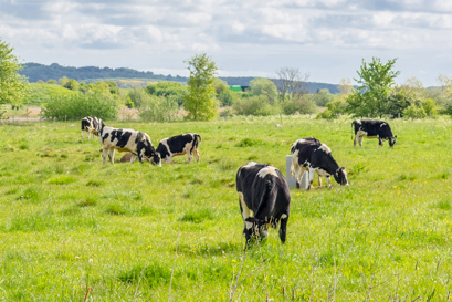 Arla Food saves 5–15% energy