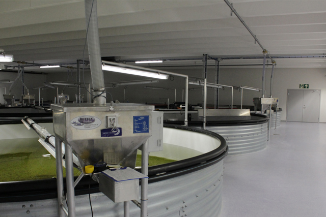 Wasserversorgung