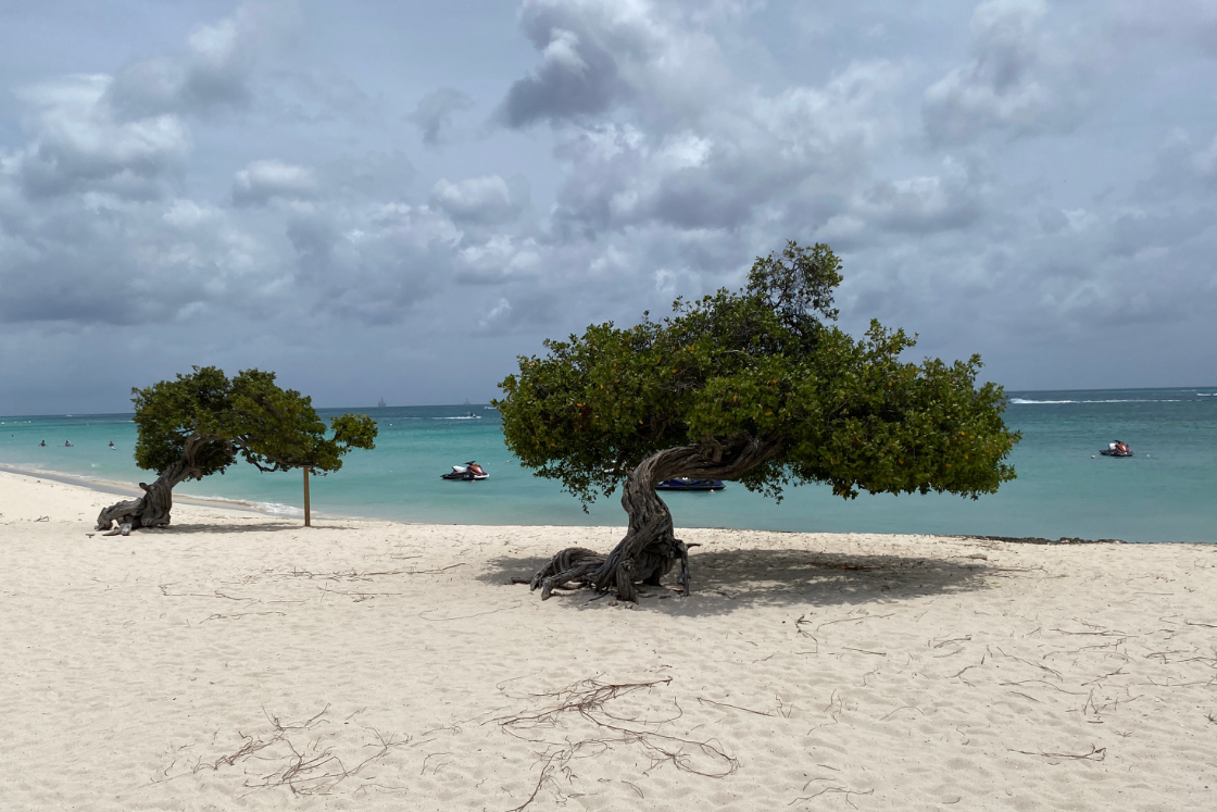 Suez Water Technology