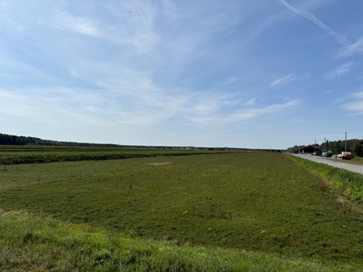 Efficient Integration and Sustainability: A Modernized Pumping System with Danfoss Technology