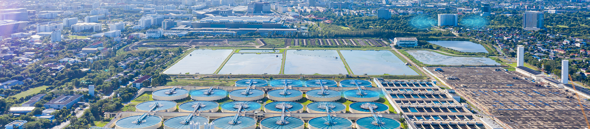 Water City