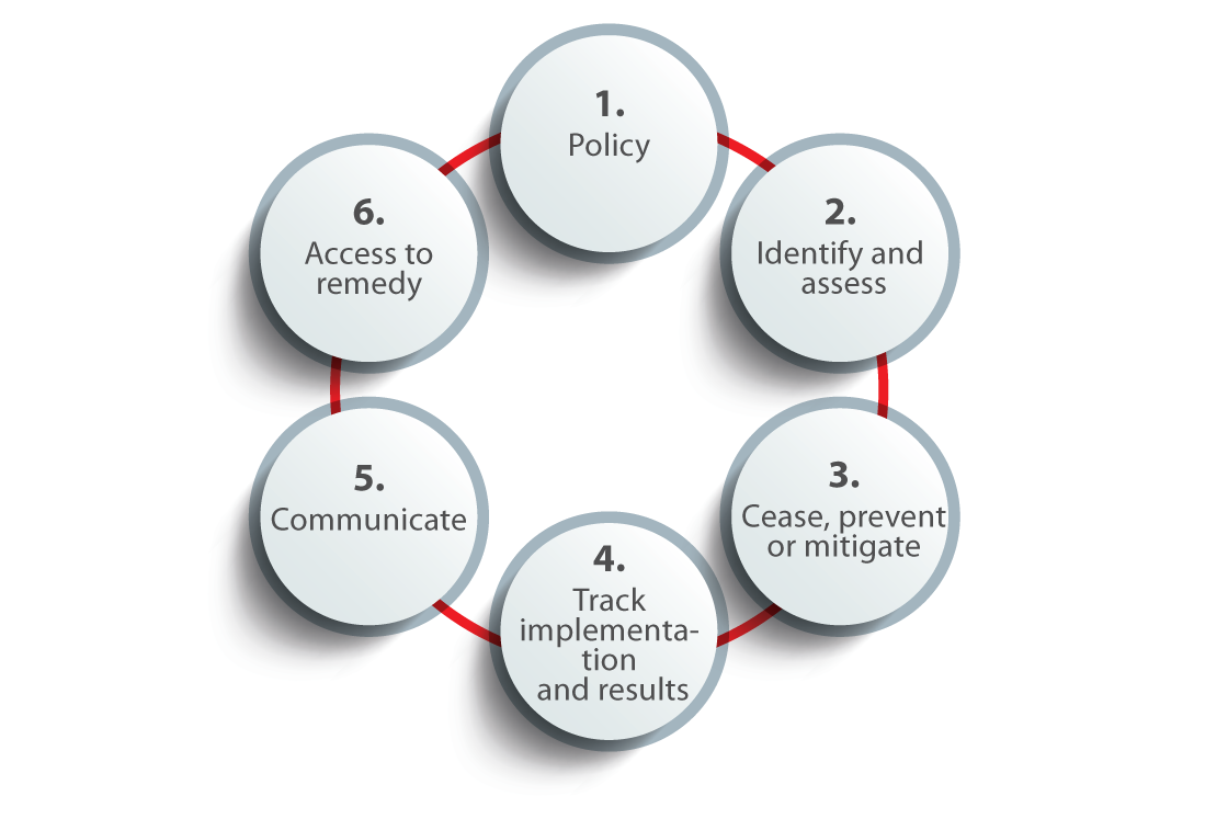 Due diligence process