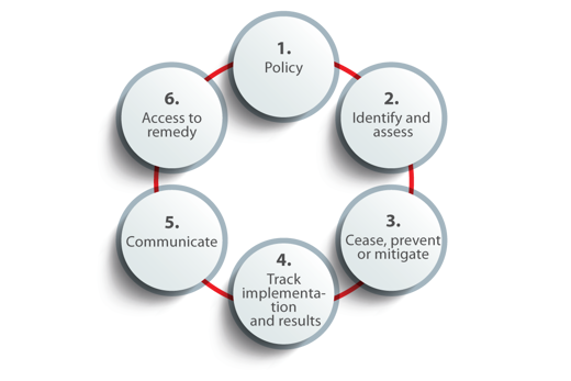 Due diligence process