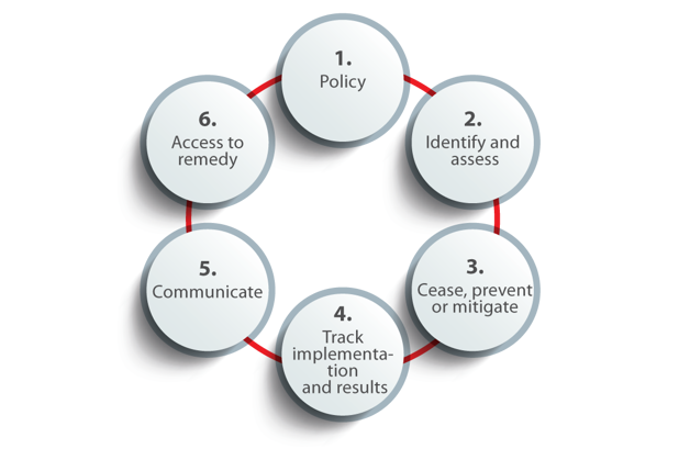 Due diligence process