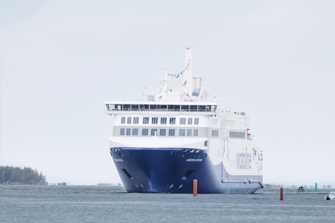 Wasaline from the front