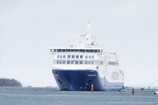 Wasaline from the front