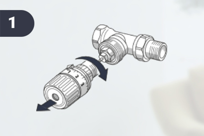 Disconnect the old radiator thermostat