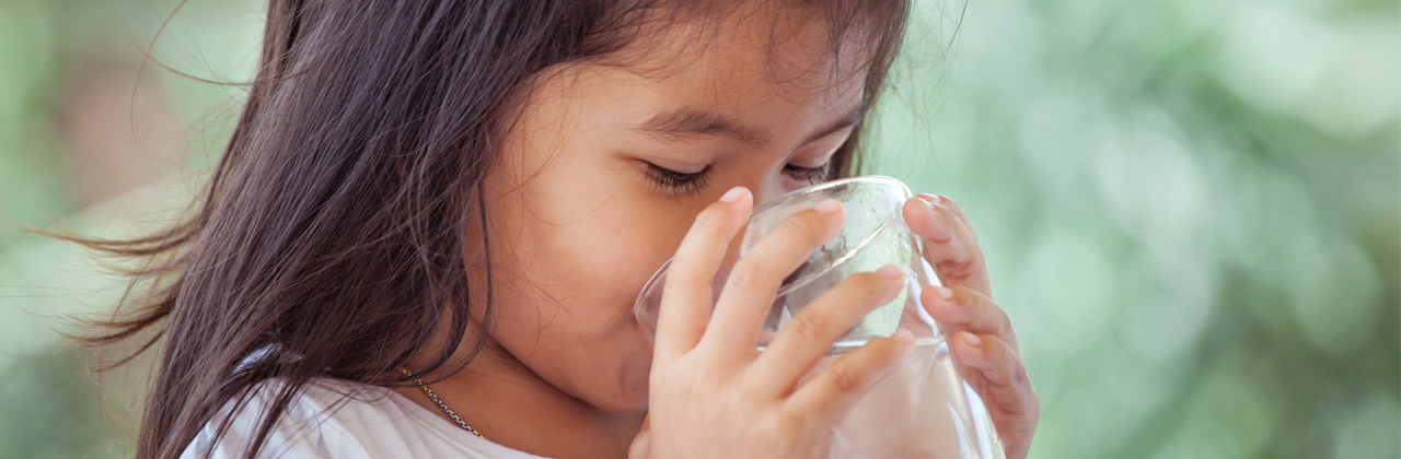 Leader in sustainable solutions