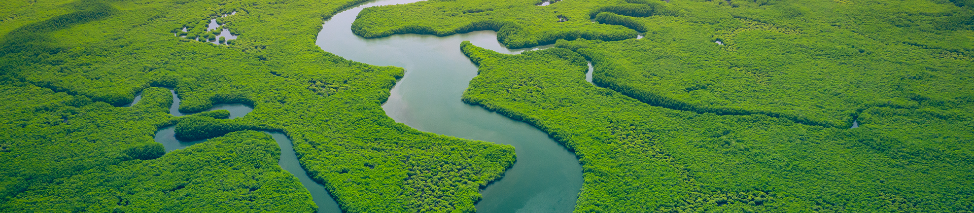 La energía más ecológica es la que no usamos
