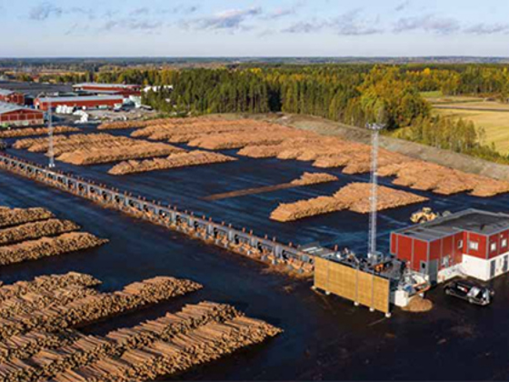 Keitele timber