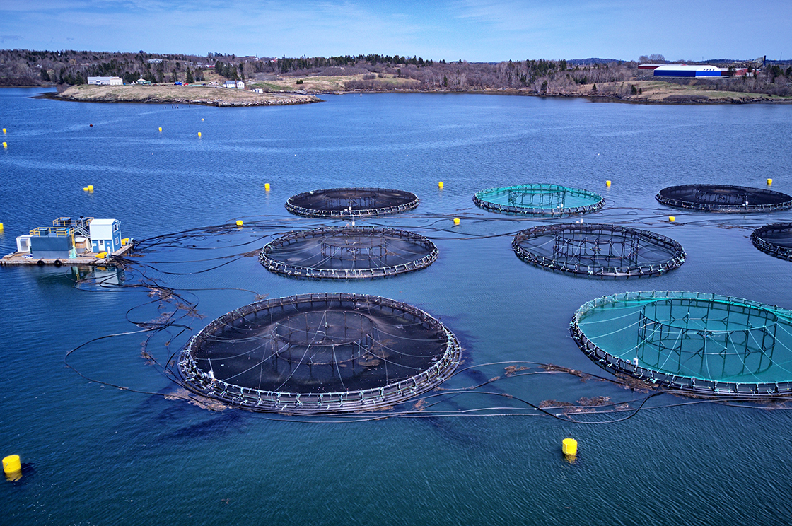 Aquaculture industry